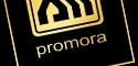 Logotip de Promora Madrid Norte