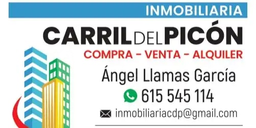 Logotip de INM CARRIL DEL PICON
