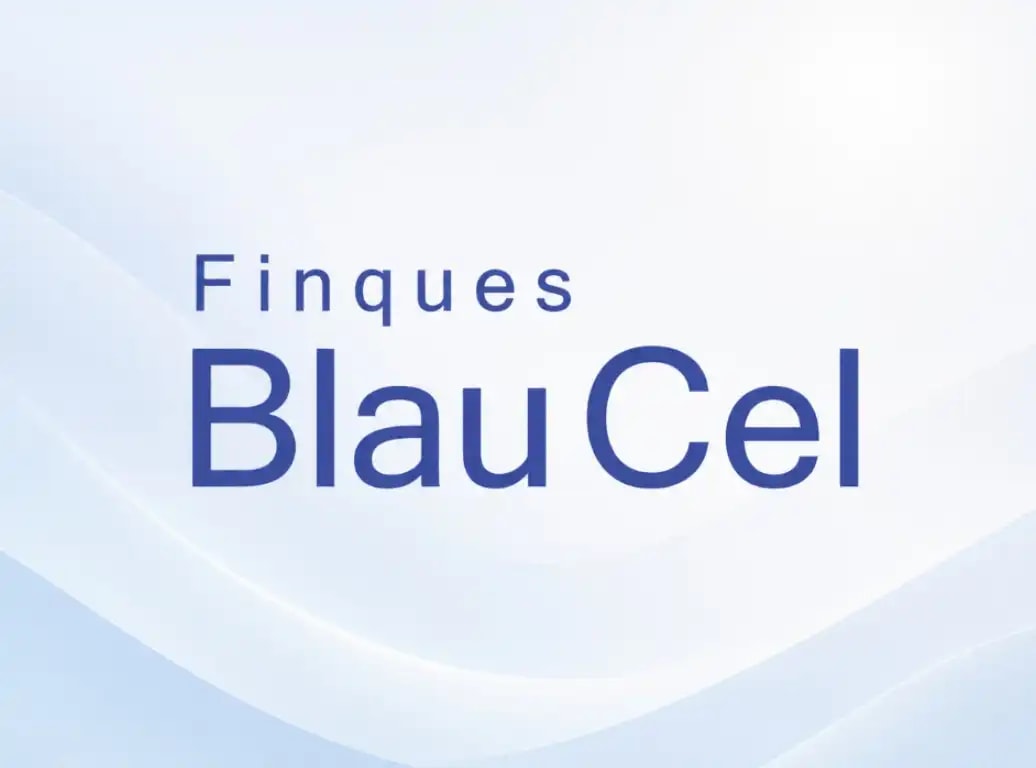 Logotipo de FINQUES BLAU CEL