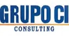 Logo von Grupo C I Consulting