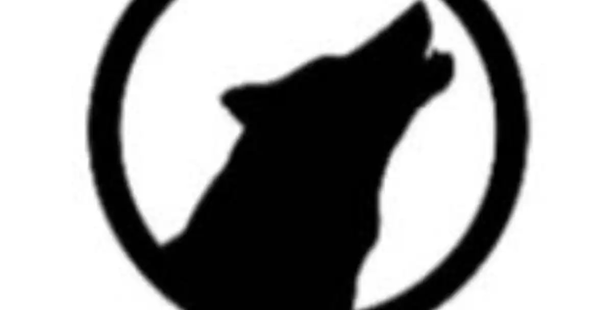Logo von WOLF INMOBILIARIAS