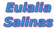 Logo von SALINAS PUJOL, EULALIA
