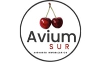 Logo de AVIUM SUR Asesores Inmobiliarios
