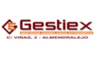 Логотип Gestiex inmobiliaria