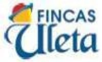 Logótipo de INMOBILIARIA F. Uleta